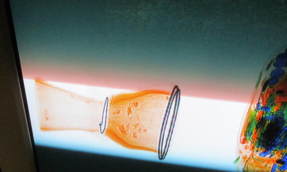 2016-6-3-137foto 1.JPG